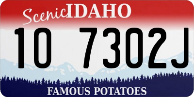 ID license plate 1O7302J