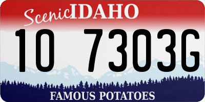 ID license plate 1O7303G