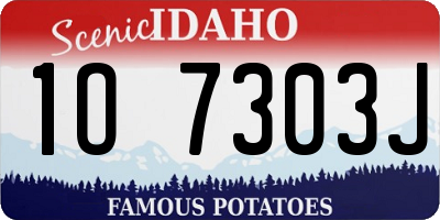 ID license plate 1O7303J