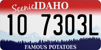 ID license plate 1O7303L