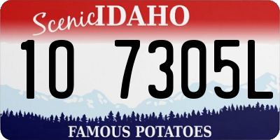 ID license plate 1O7305L