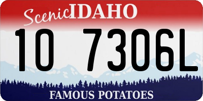 ID license plate 1O7306L