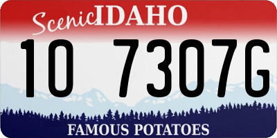 ID license plate 1O7307G