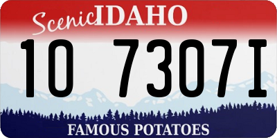 ID license plate 1O7307I