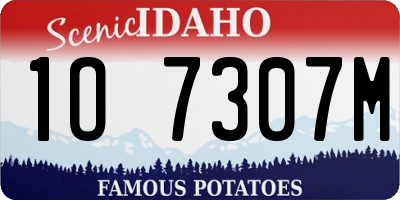 ID license plate 1O7307M