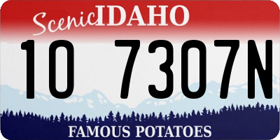 ID license plate 1O7307N