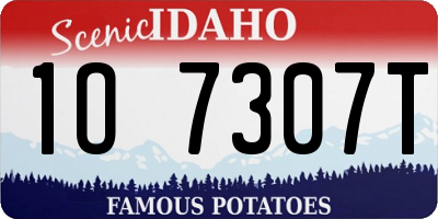 ID license plate 1O7307T