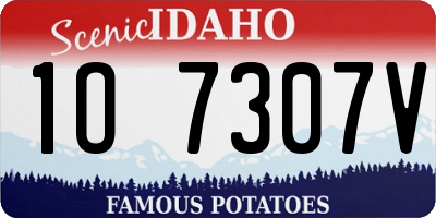 ID license plate 1O7307V