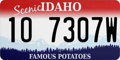 ID license plate 1O7307W