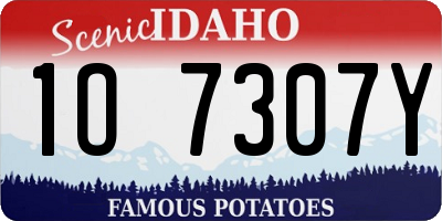 ID license plate 1O7307Y