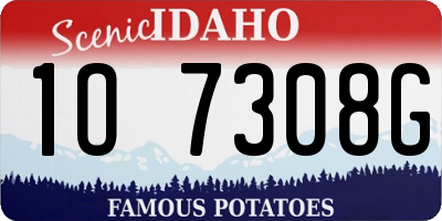 ID license plate 1O7308G