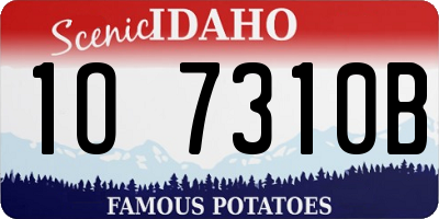 ID license plate 1O7310B