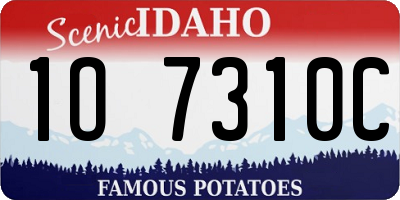 ID license plate 1O7310C
