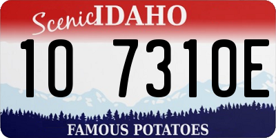 ID license plate 1O7310E