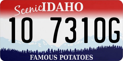 ID license plate 1O7310G