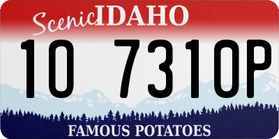 ID license plate 1O7310P