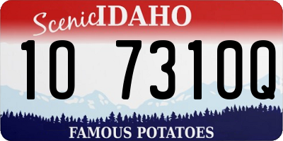 ID license plate 1O7310Q
