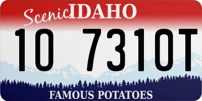 ID license plate 1O7310T