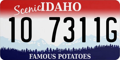 ID license plate 1O7311G