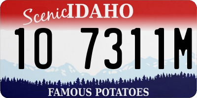 ID license plate 1O7311M