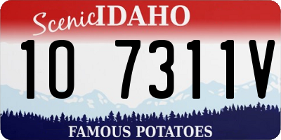 ID license plate 1O7311V
