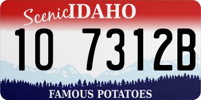 ID license plate 1O7312B
