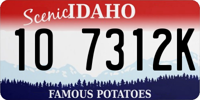 ID license plate 1O7312K