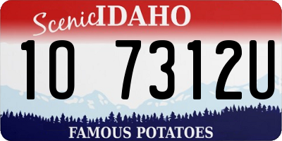 ID license plate 1O7312U