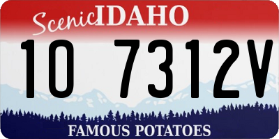 ID license plate 1O7312V