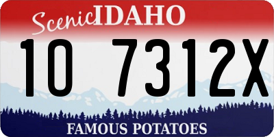 ID license plate 1O7312X