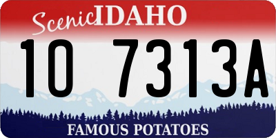 ID license plate 1O7313A