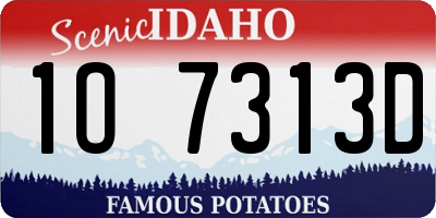ID license plate 1O7313D