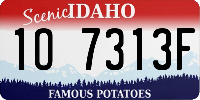 ID license plate 1O7313F