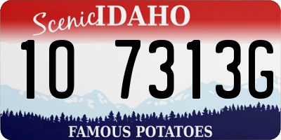 ID license plate 1O7313G