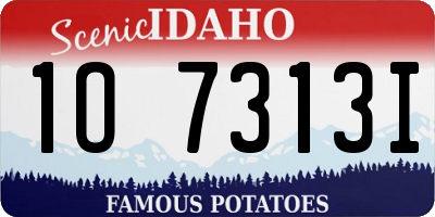 ID license plate 1O7313I
