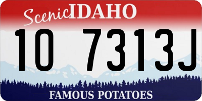 ID license plate 1O7313J