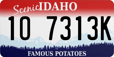 ID license plate 1O7313K