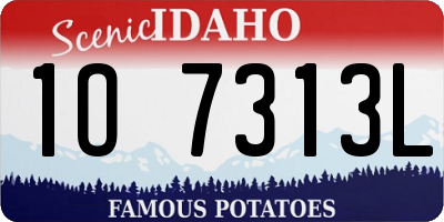 ID license plate 1O7313L
