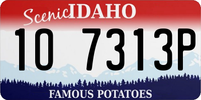 ID license plate 1O7313P