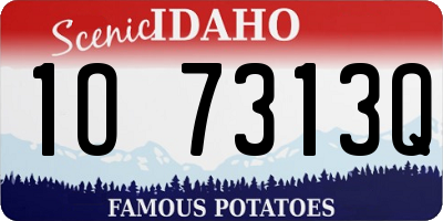 ID license plate 1O7313Q