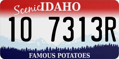 ID license plate 1O7313R