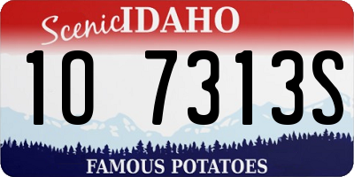 ID license plate 1O7313S