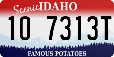 ID license plate 1O7313T