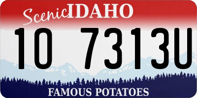 ID license plate 1O7313U