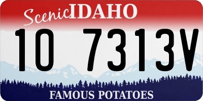 ID license plate 1O7313V