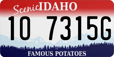 ID license plate 1O7315G