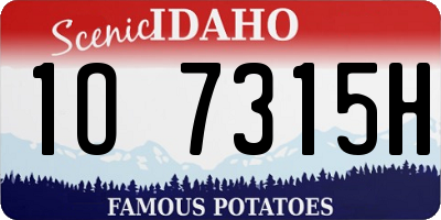 ID license plate 1O7315H