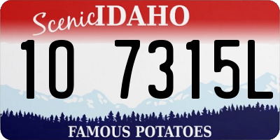 ID license plate 1O7315L
