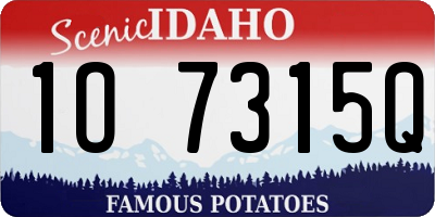 ID license plate 1O7315Q