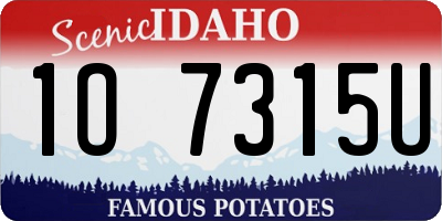 ID license plate 1O7315U
